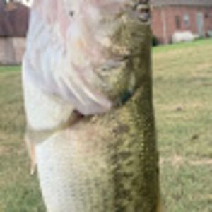 Meet your Posher, Jayden